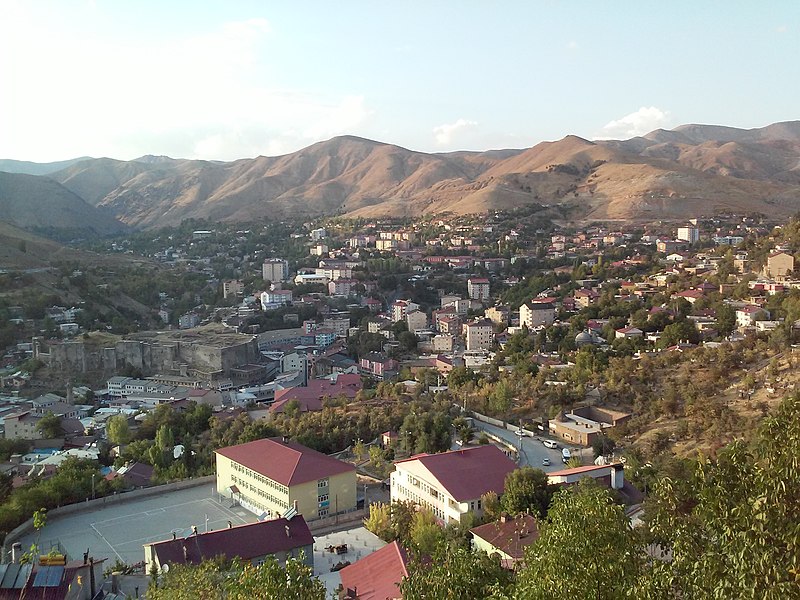 Bitlis Nerede