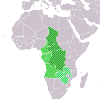 Orta Afrika Cumhuriyeti nerede