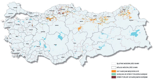 Sarıçam nerede