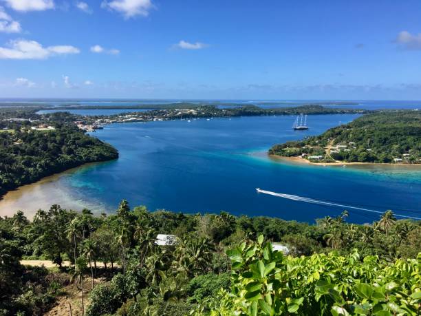 Tonga nerede